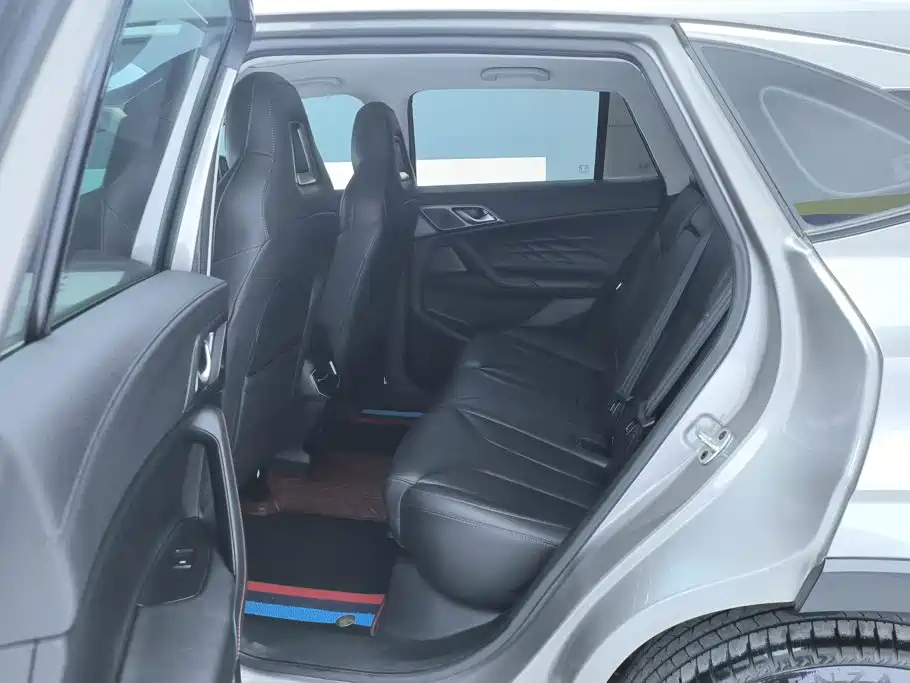 Roewe RX5 New Energy — фото 11