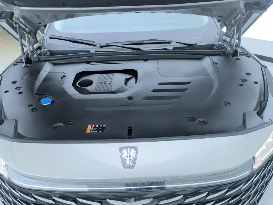 Roewe RX5 New Energy — фото 10