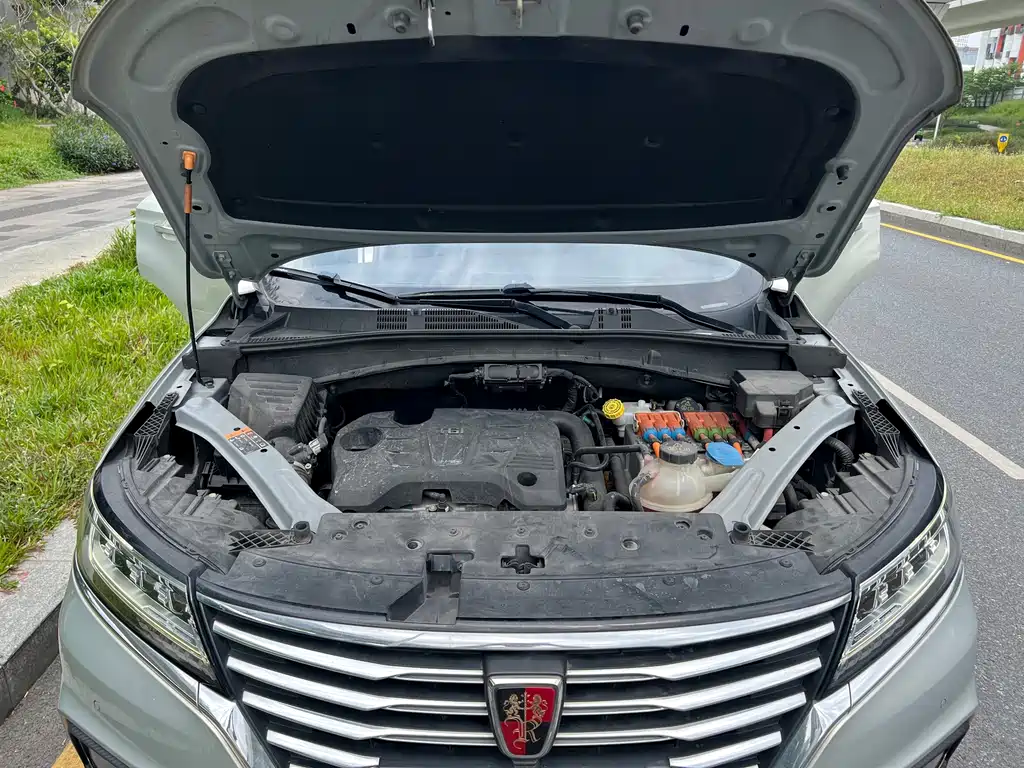 Roewe RX5 New Energy — фото 14