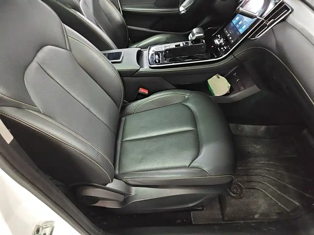 Roewe i6 MAX New Energy — фото 25