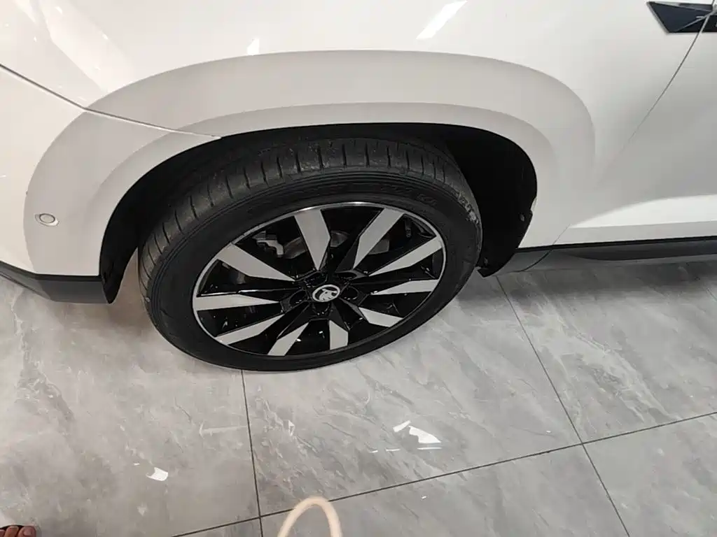 Skoda Karoq — фото 23