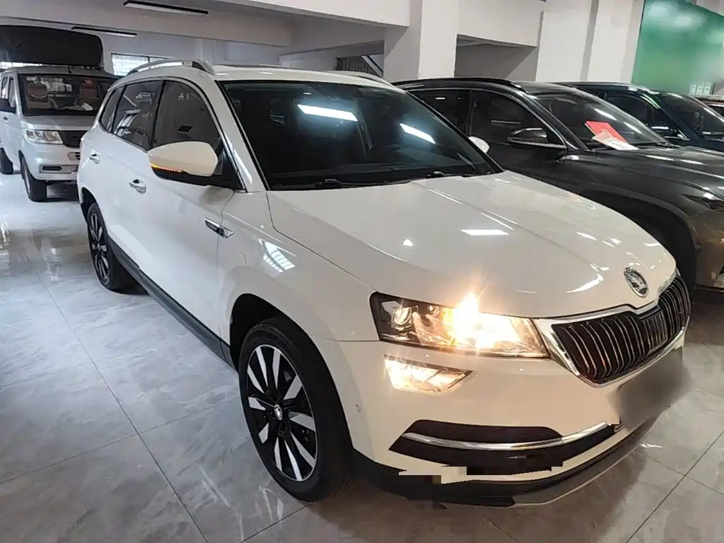 Skoda Karoq — фото 4