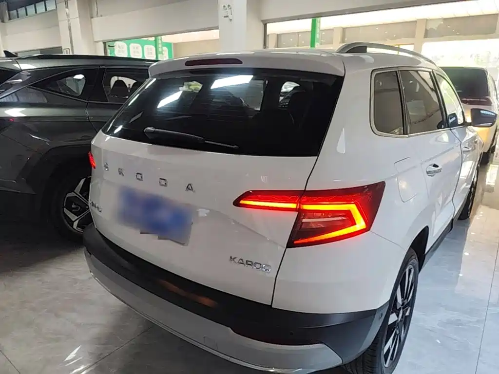 Skoda Karoq — фото 7