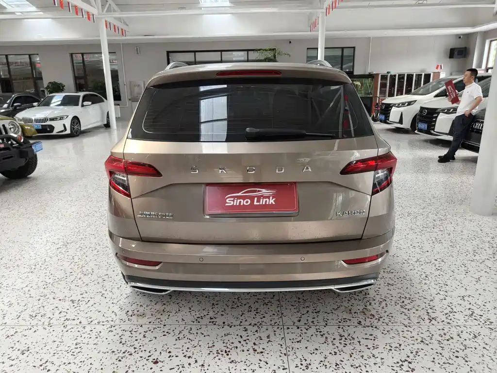 Skoda Karoq — фото 7