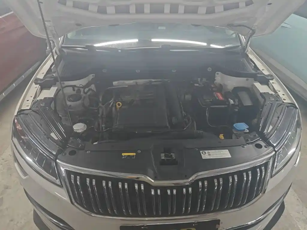 Skoda Karoq — фото 20