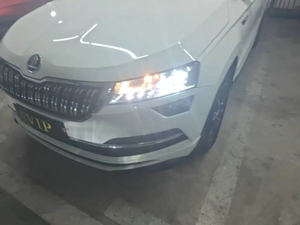 Skoda Karoq — фото 24