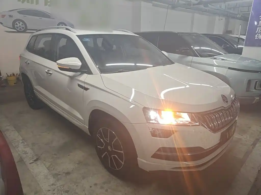 Skoda Karoq — фото 4