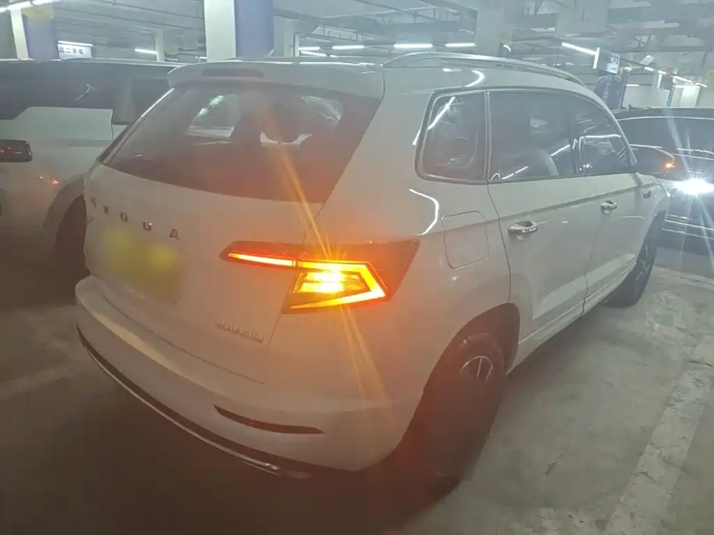 Skoda Karoq — фото 7