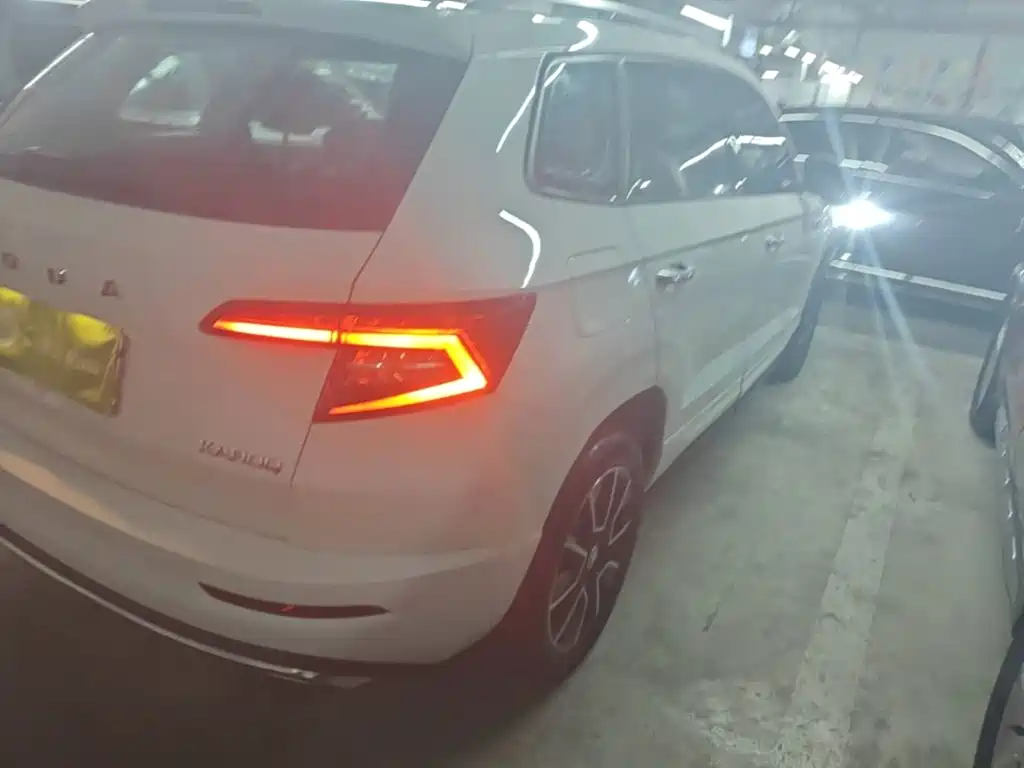 Skoda Karoq — фото 8