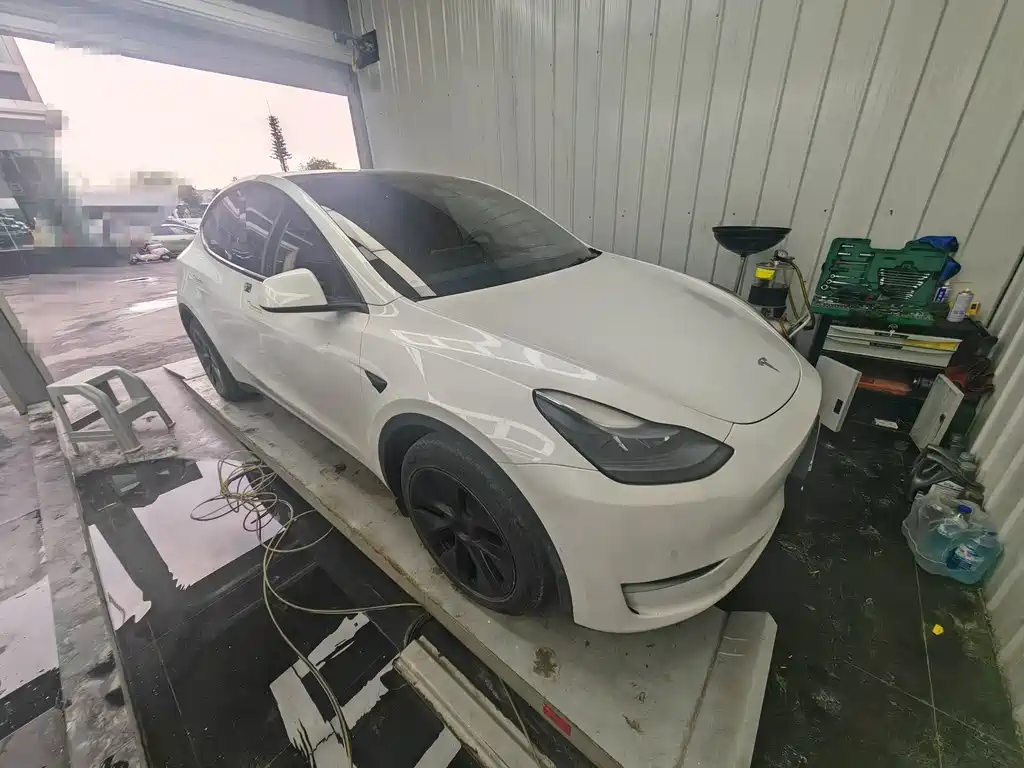 Tesla Model Y — фото 2