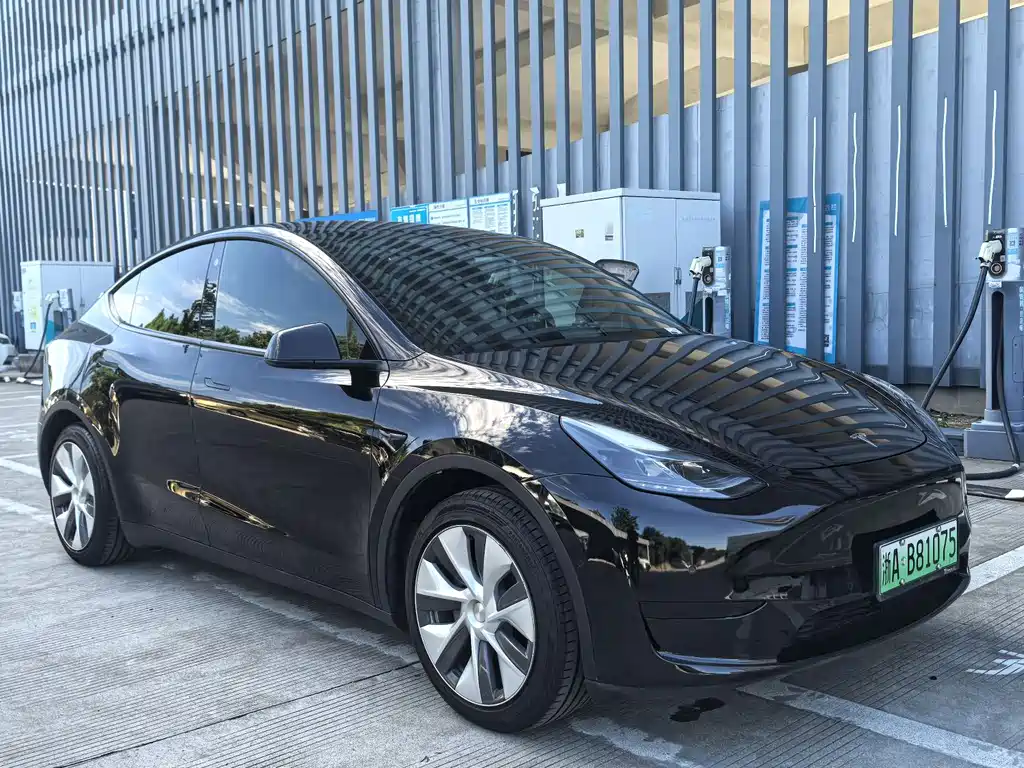 Tesla Model Y — фото 3