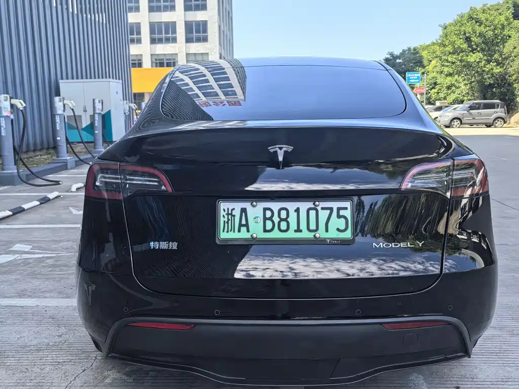 Tesla Model Y — фото 5