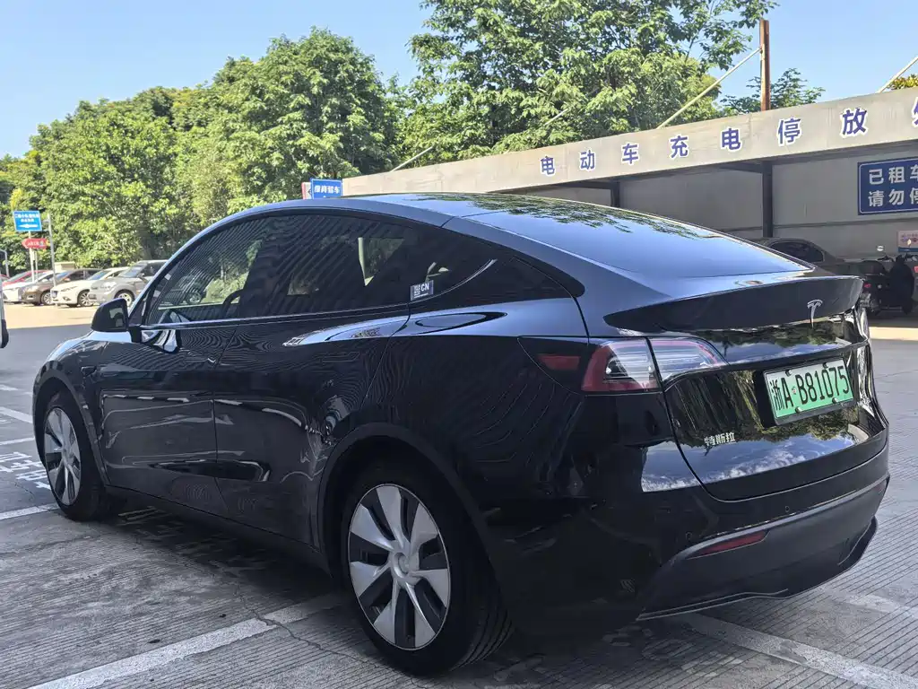 Tesla Model Y — фото 6