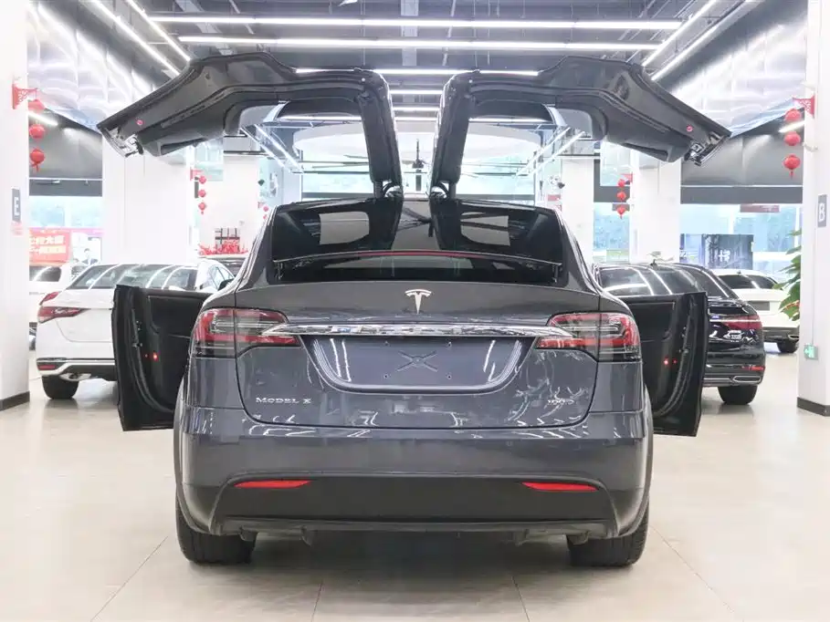 Tesla Model X — фото 4