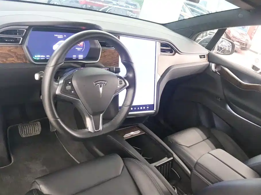 Tesla Model X — фото 10
