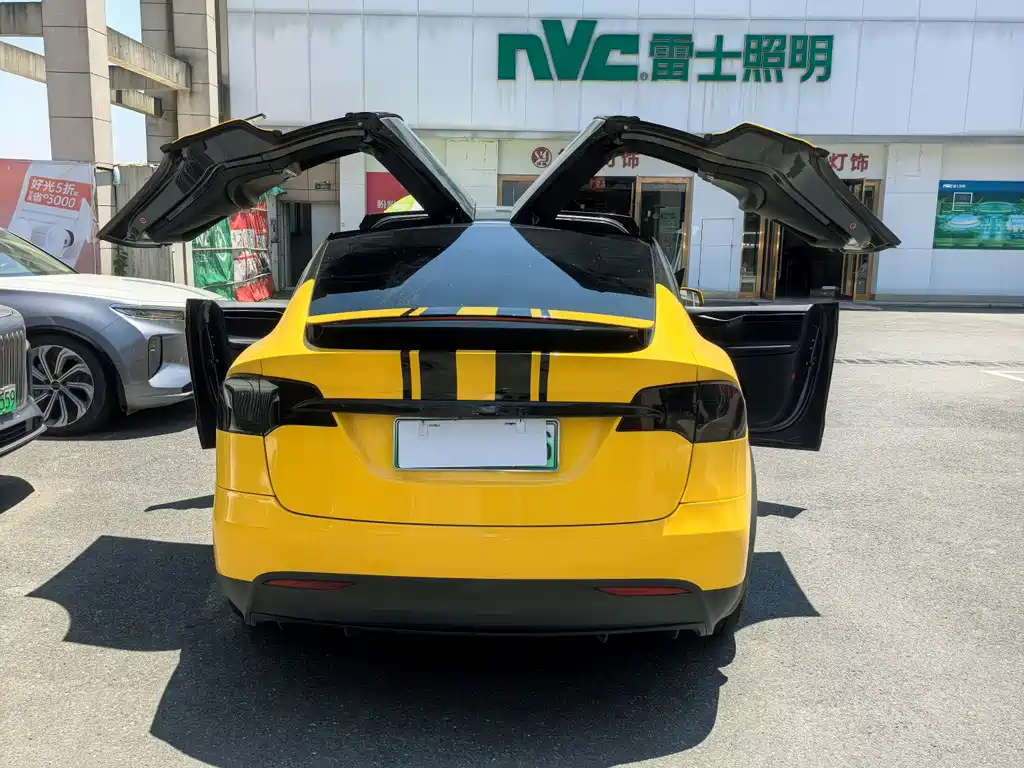 Tesla Model X — фото 4