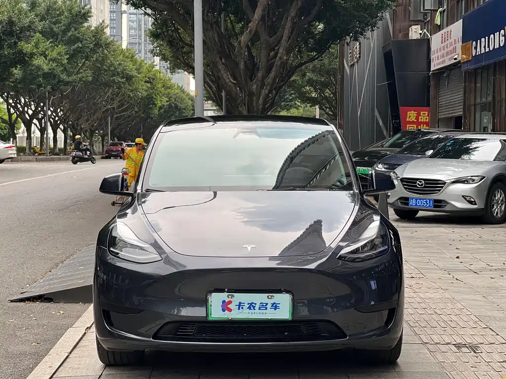 Tesla Model Y — фото 2