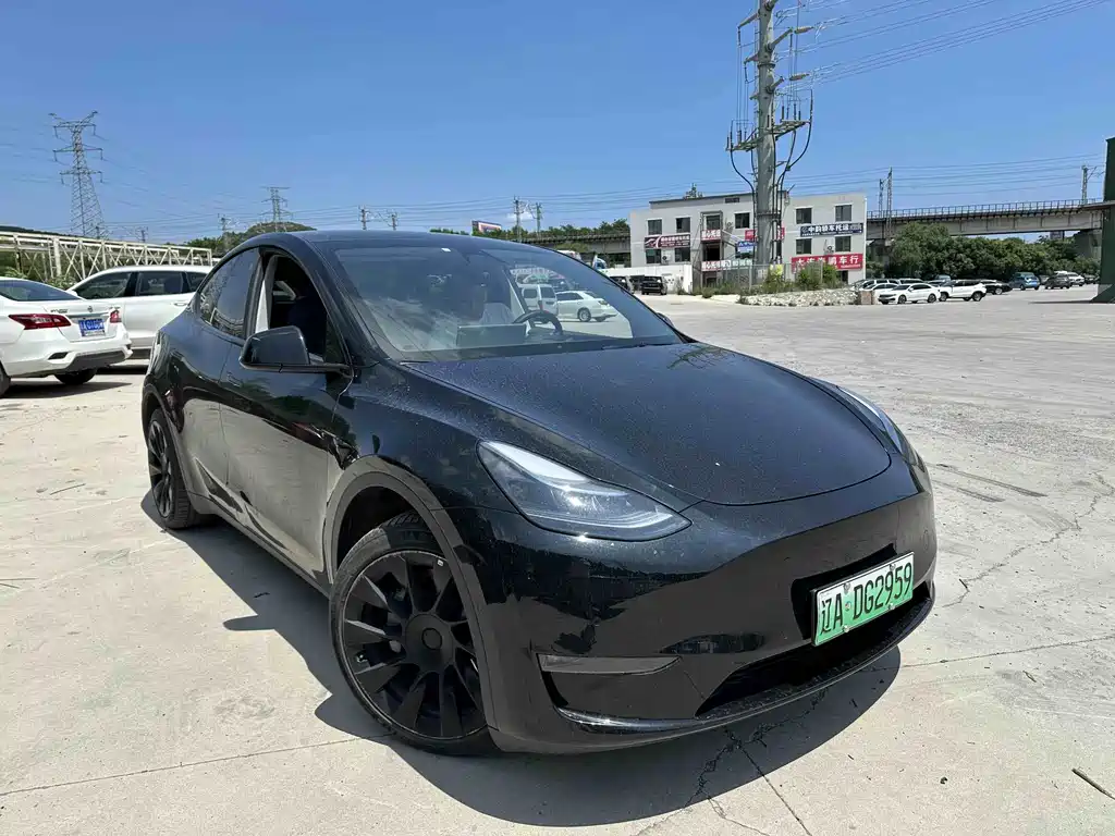 Tesla Model Y — фото 2