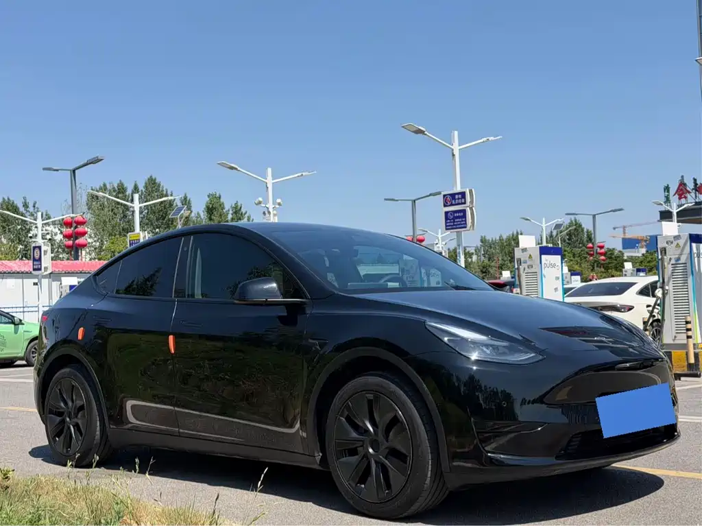 Tesla Model Y — фото 3