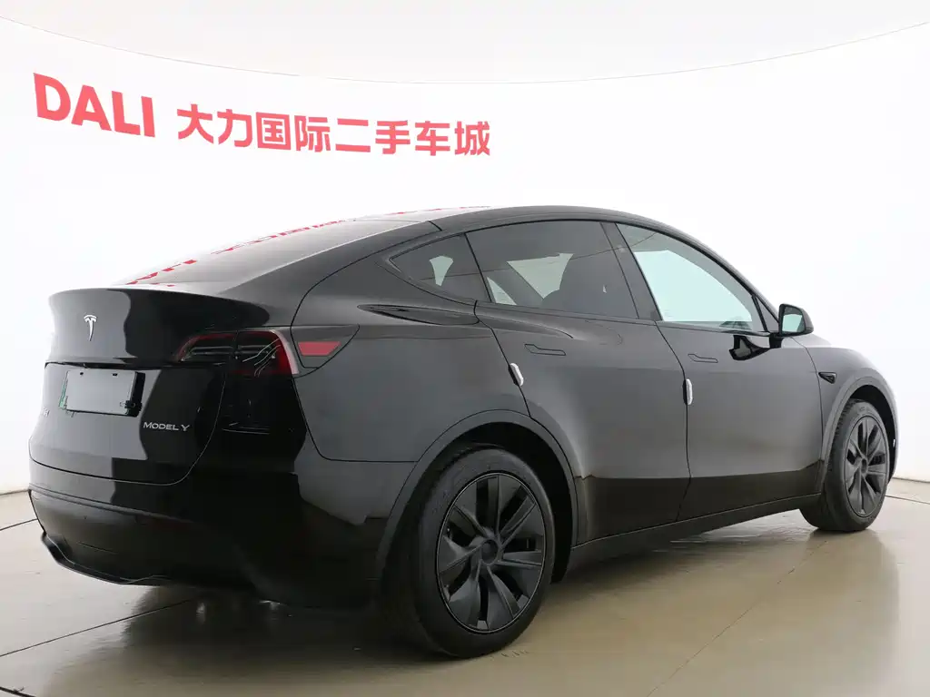 Tesla Model Y — фото 13