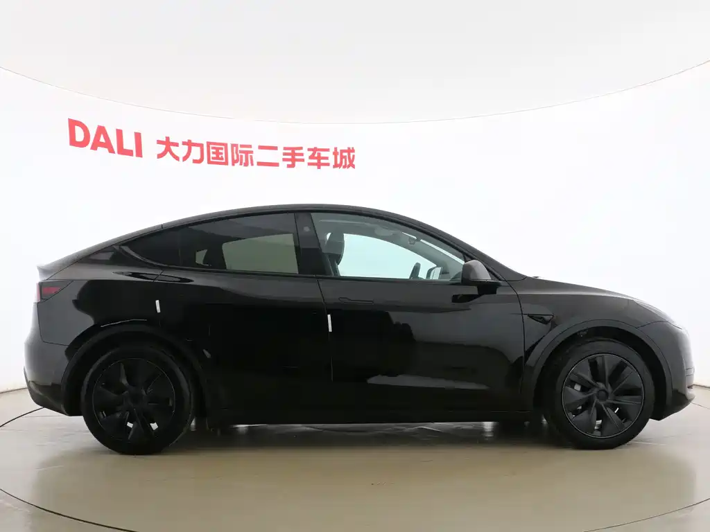 Tesla Model Y — фото 14