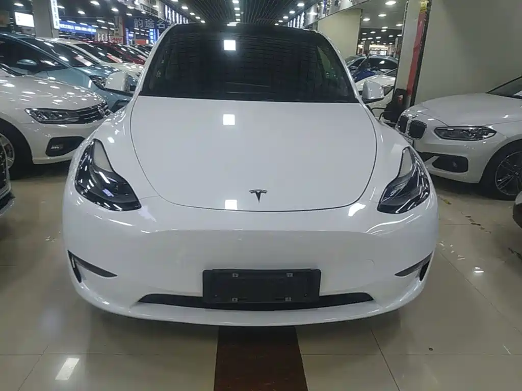 Tesla Model Y — фото 3