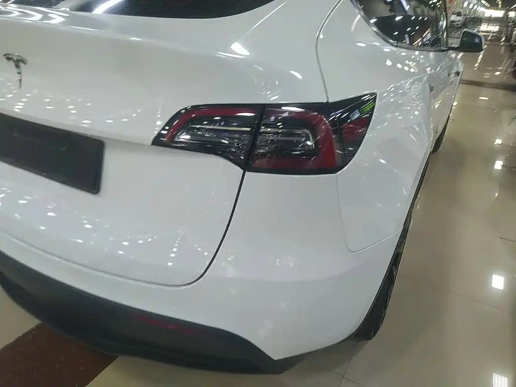 Tesla Model Y — фото 23