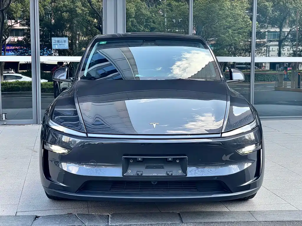 Tesla Model Y — фото 2