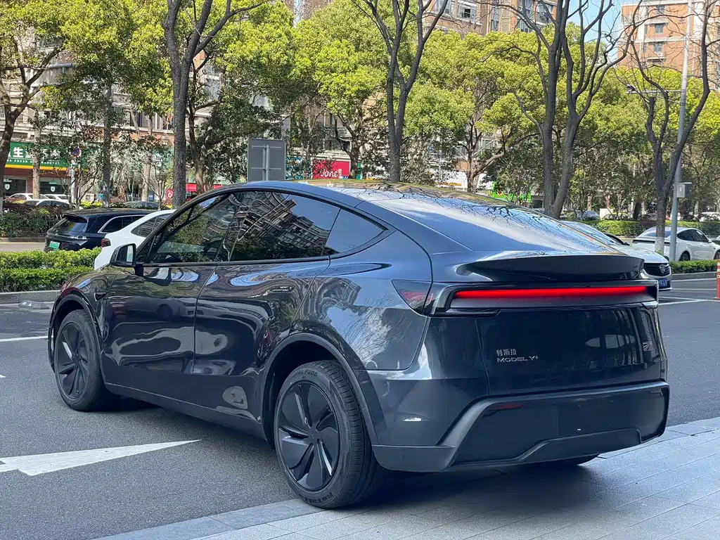 Tesla Model Y — фото 11
