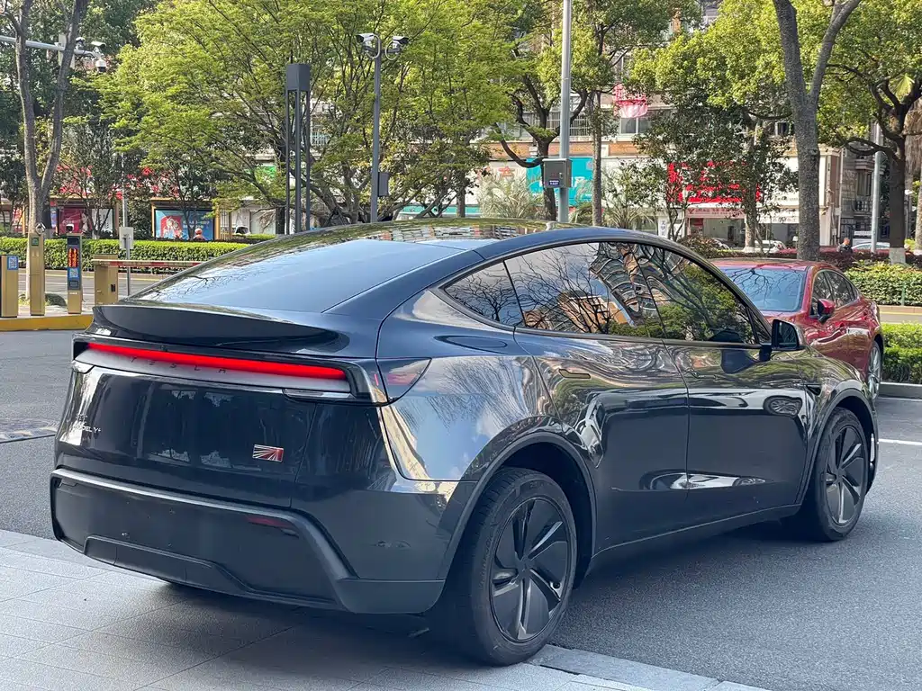 Tesla Model Y — фото 13