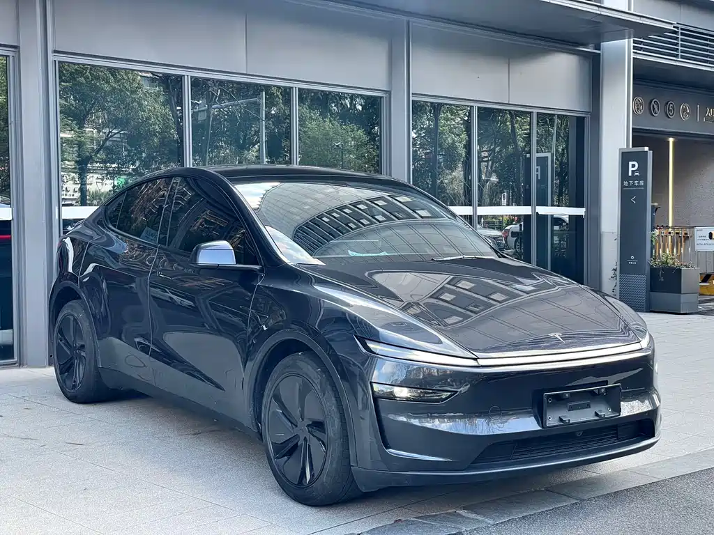 Tesla Model Y — фото 3