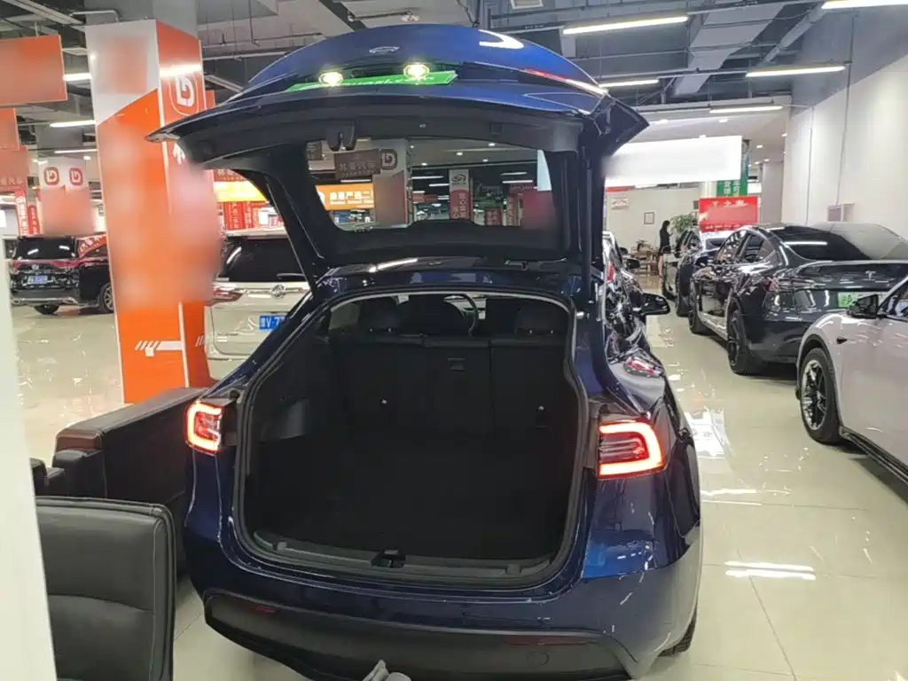 Tesla Model Y — фото 19