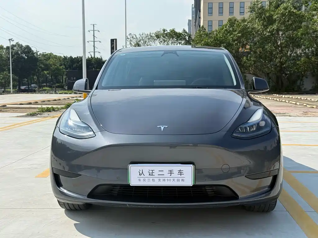 Tesla Model Y — фото 2