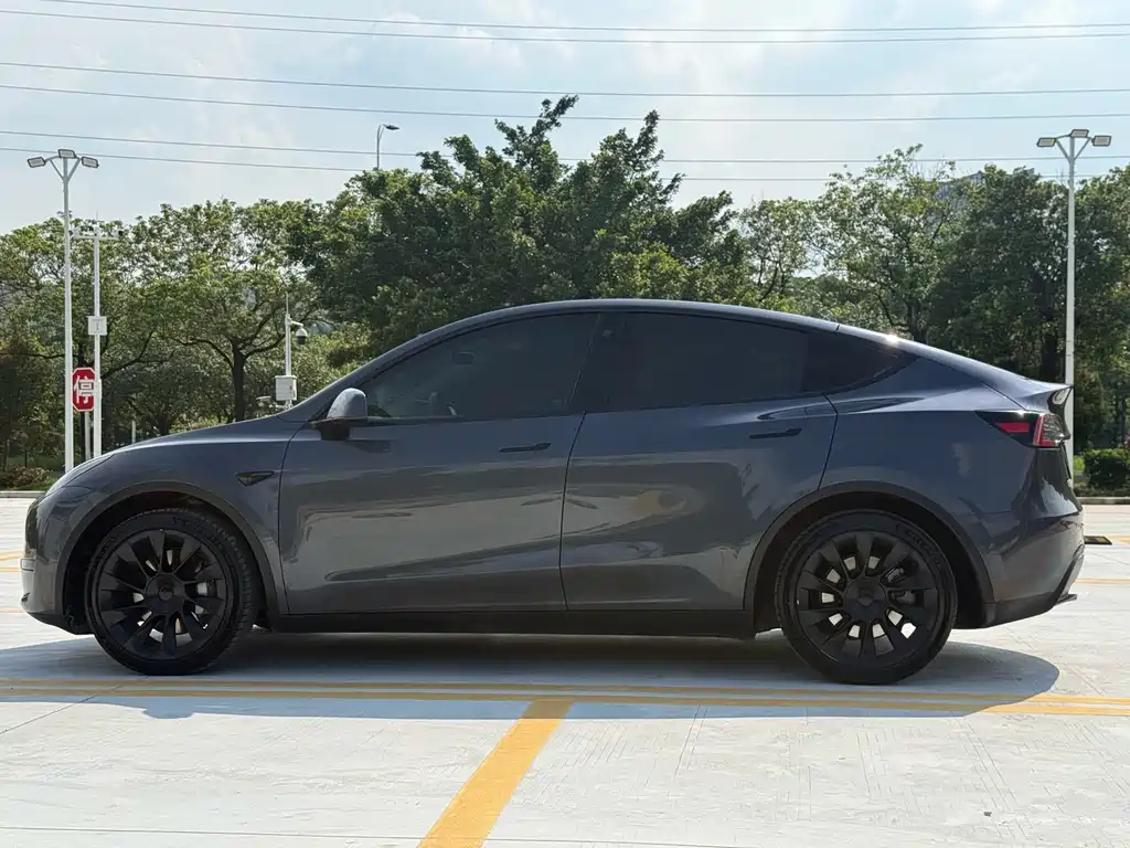 Tesla Model Y — фото 17