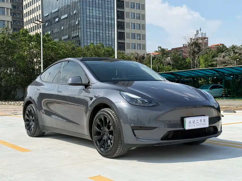 Tesla Model Y — фото 3