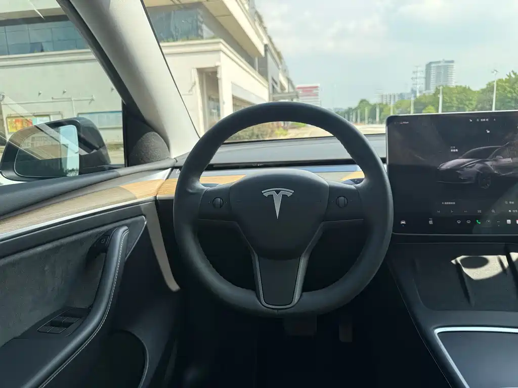 Tesla Model Y — фото 5