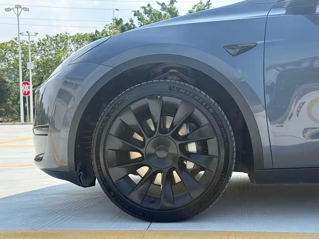 Tesla Model Y — фото 10