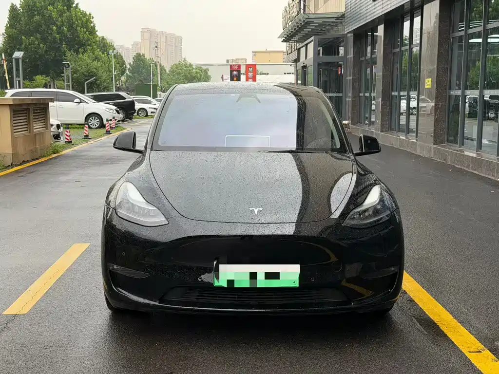 Tesla Model Y — фото 2