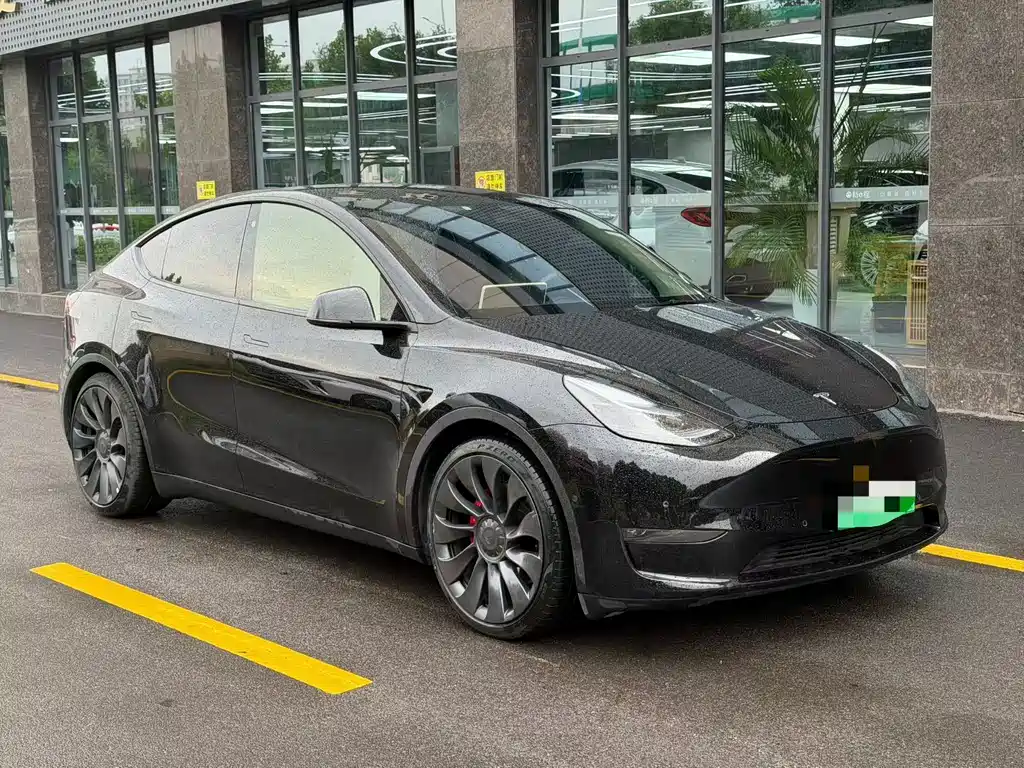 Tesla Model Y — фото 3
