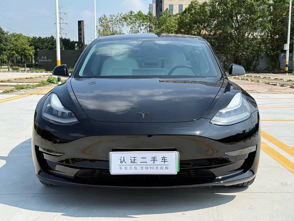Tesla Model 3 — фото 2