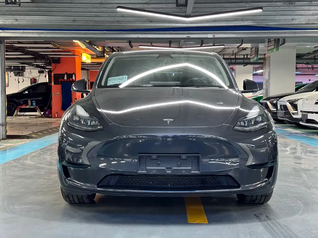 Tesla Model Y — фото 2