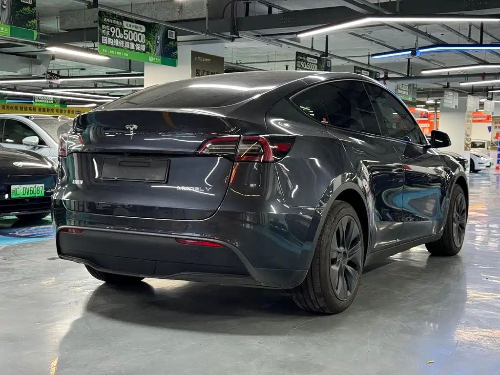 Tesla Model Y — фото 14