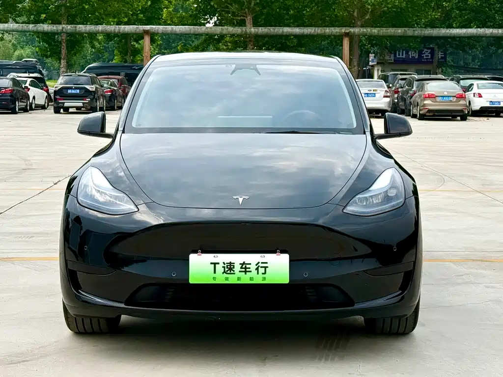 Tesla Model Y — фото 2