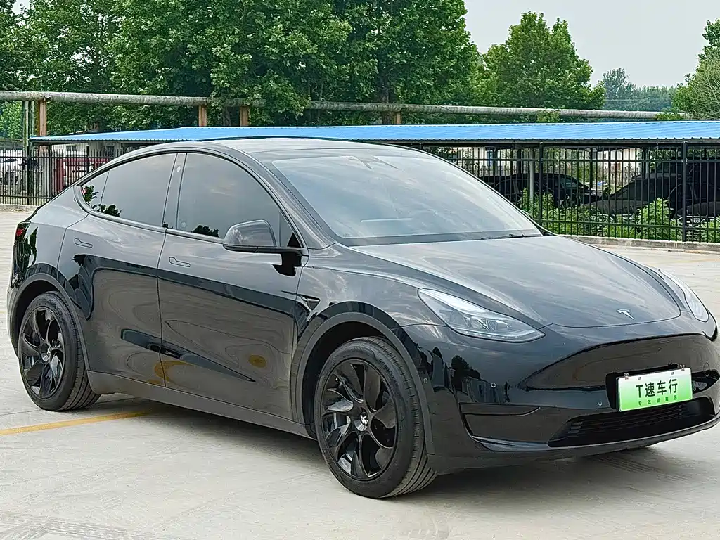 Tesla Model Y — фото 3