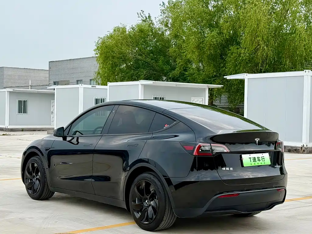 Tesla Model Y — фото 7