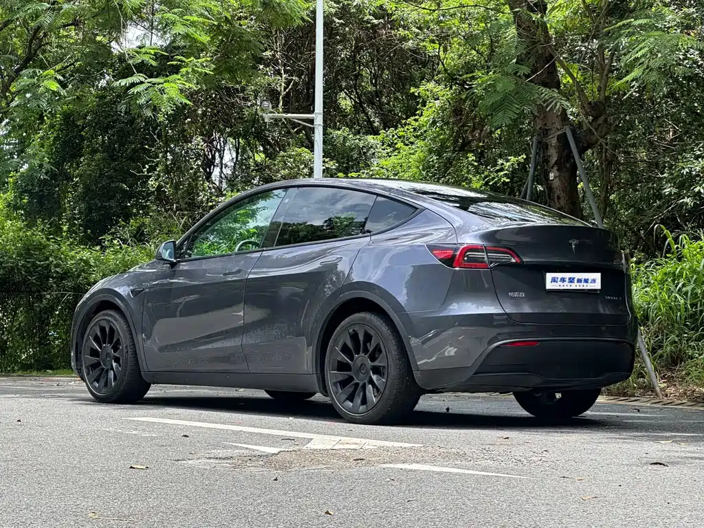 Tesla Model Y — фото 3
