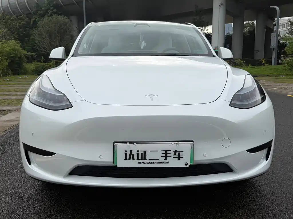 Tesla Model Y — фото 2