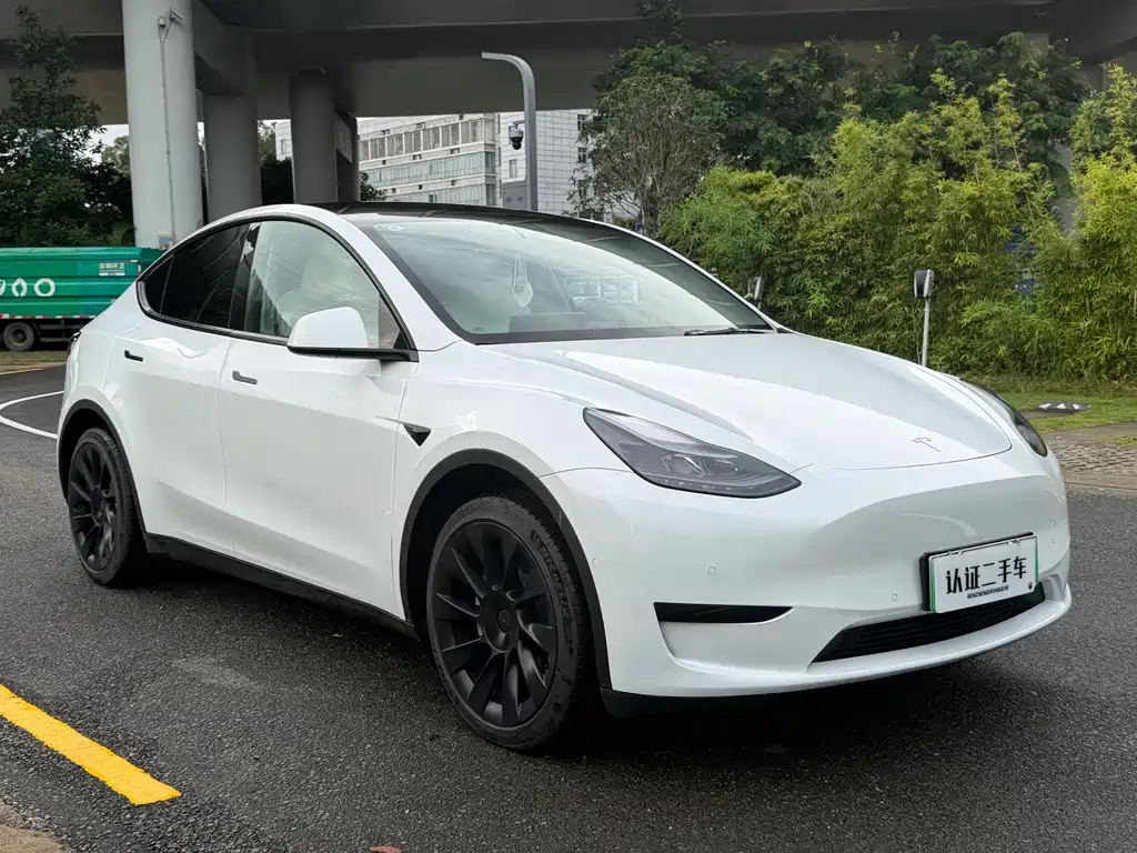 Tesla Model Y — фото 3