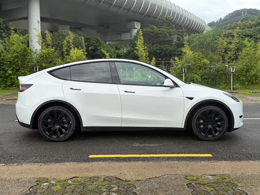 Tesla Model Y — фото 4