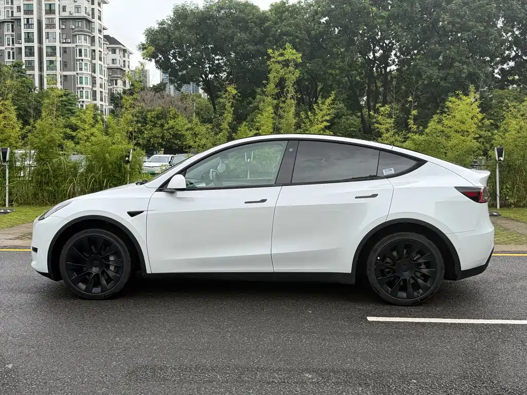 Tesla Model Y — фото 5